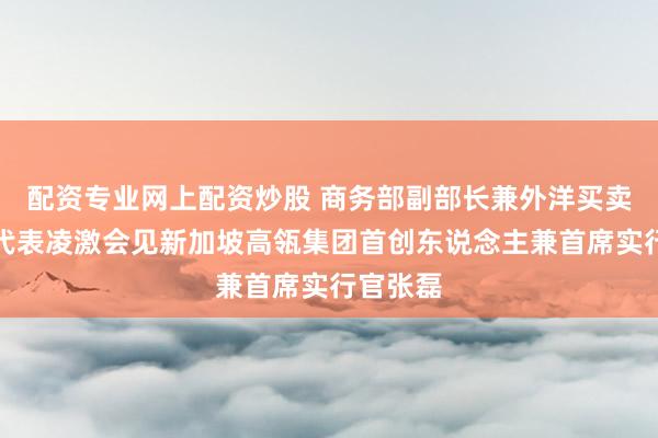配资专业网上配资炒股 商务部副部长兼外洋买卖探讨副代表凌激会见新加坡高瓴集团首创东说念主兼首席实行官张磊