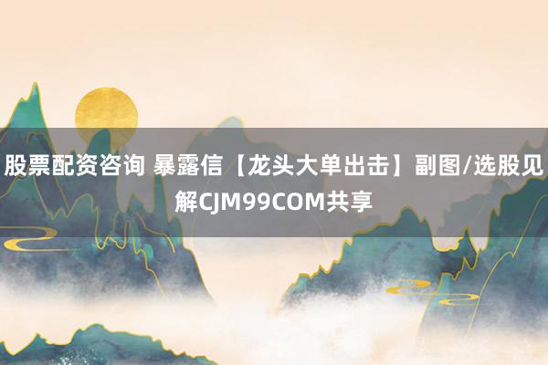 股票配资咨询 暴露信【龙头大单出击】副图/选股见解CJM99COM共享