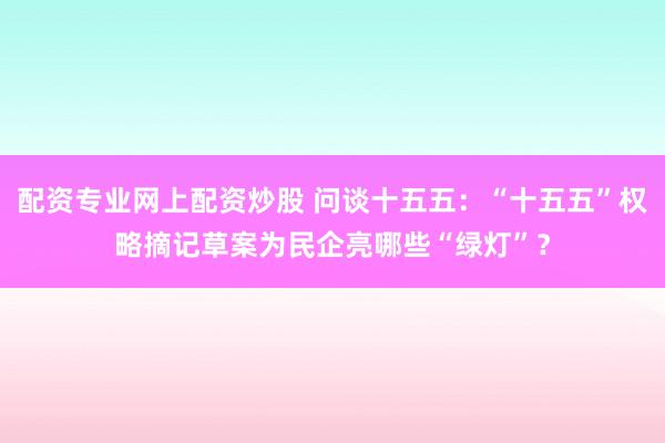 配资专业网上配资炒股 问谈十五五：“十五五”权略摘记草案为民企亮哪些“绿灯”？