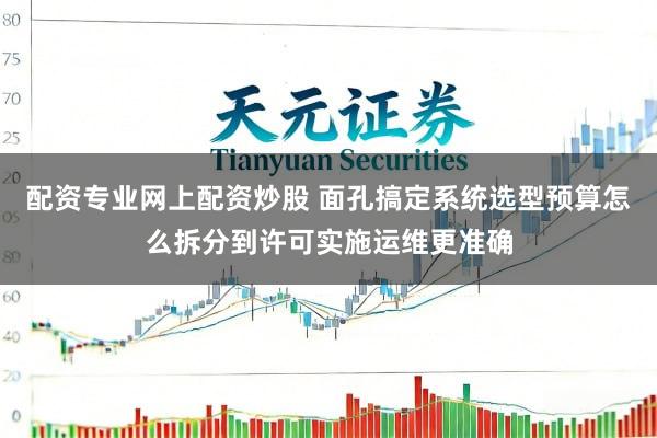 配资专业网上配资炒股 面孔搞定系统选型预算怎么拆分到许可实施运维更准确