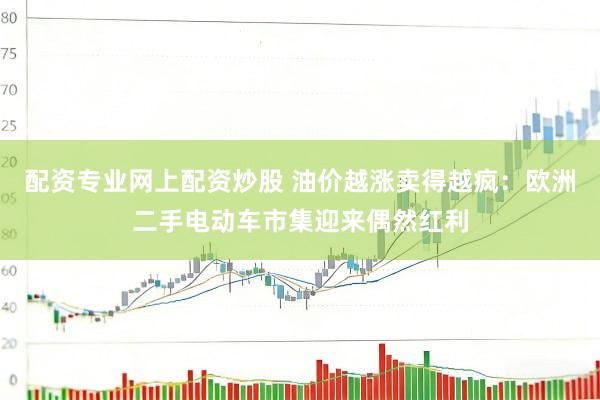 配资专业网上配资炒股 油价越涨卖得越疯：欧洲二手电动车市集迎来偶然红利