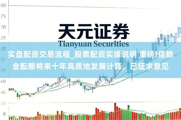 实盘配资交易流程_股票配资实操说明 重磅!信赖业酝酿将来十年高质地发展计算,已征求意见