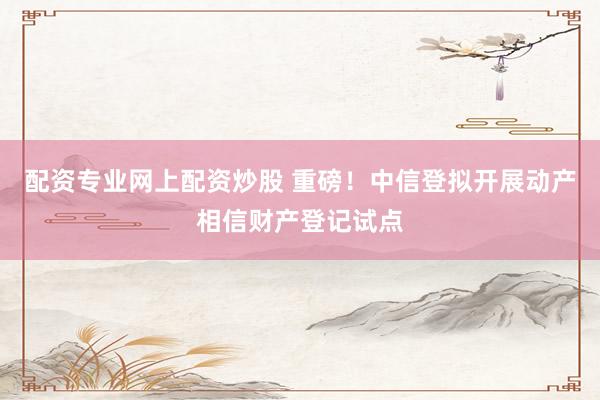 配资专业网上配资炒股 重磅！中信登拟开展动产相信财产登记试点