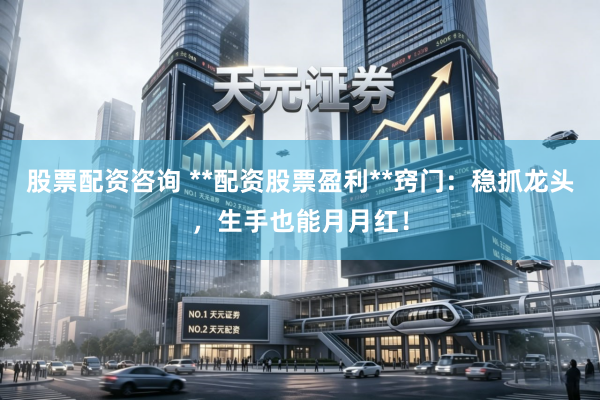 股票配资咨询 **配资股票盈利**窍门：稳抓龙头，生手也能月月红！